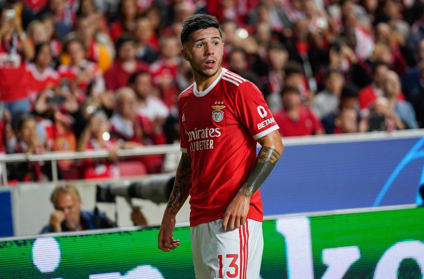 Enzo Fernández, do Benfica