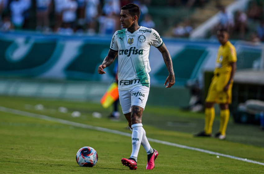 Dudu, do Palmeiras