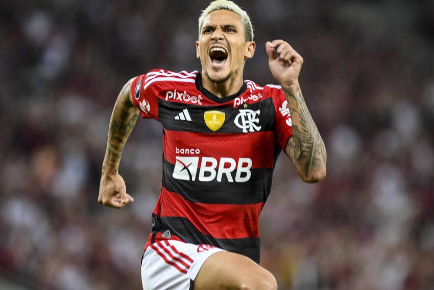 Pedro, do Flamengo