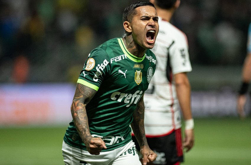 Dudu, do Palmeiras