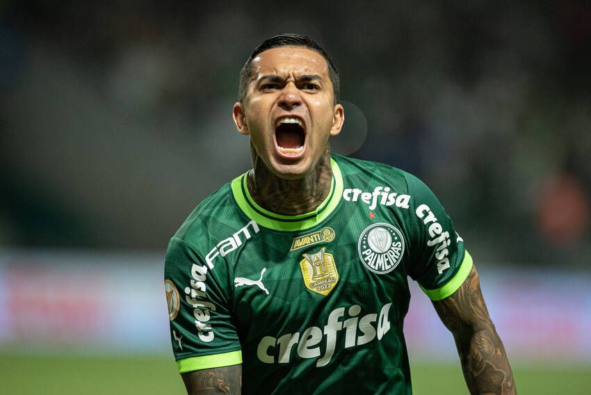 Dudu, do Palmeiras