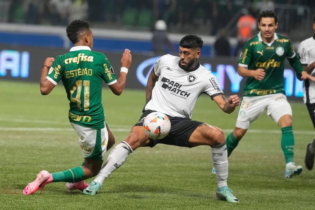 Palmeiras pode diminuir vantagem do Botafogo no Brasileirão? Veja odds